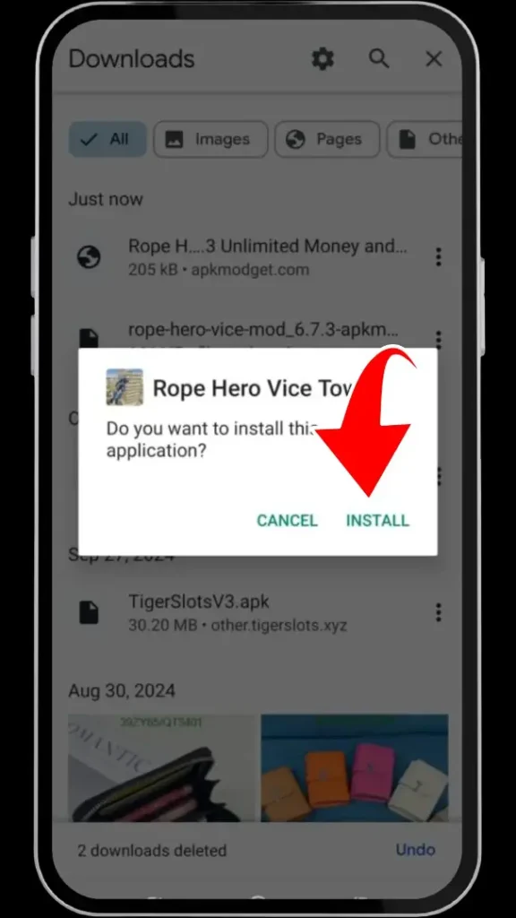 Rope Hero Mod Apk